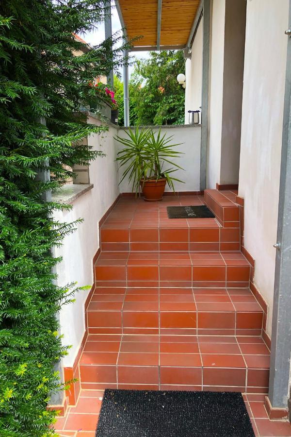 Ferienwohnung Alte Gaertnerei Thale Ngoại thất bức ảnh